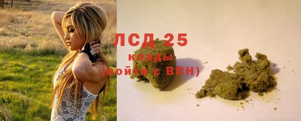 эйфоретик Белокуриха