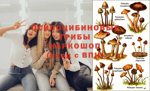 стаф Белоозёрский