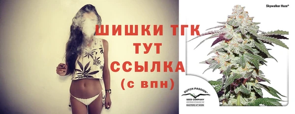 стаф Белоозёрский