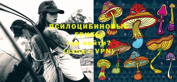 стаф Белоозёрский