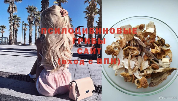 амф Беломорск
