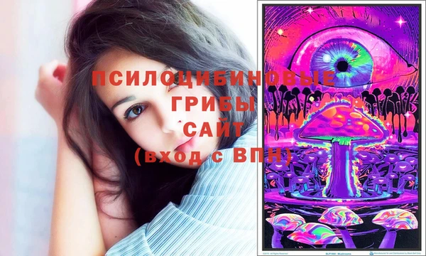 эйфоретик Белокуриха